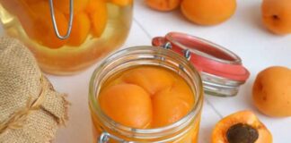 Conserves d'abricots au sirop avec Thermomix