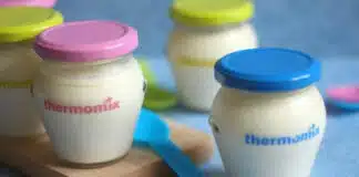 yaourt nature au thermomix